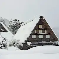 *ชิราคาวาโกะ (Shirakawago) (2025 ปี・ฤดูหนาว)