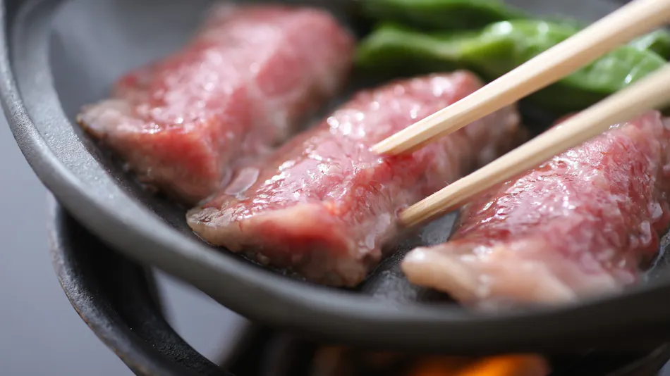 Dog-Friendly Onsen Inn Kaike Onsen Shotoen