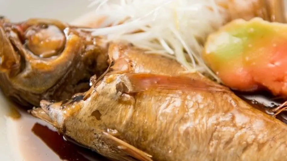 Dog-Friendly Onsen Inn Kaike Onsen Shotoen