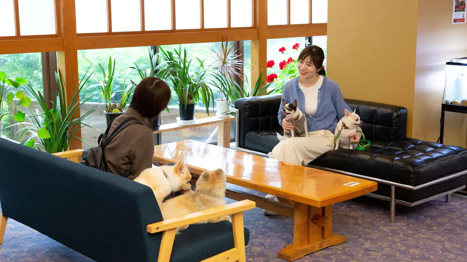 Dog-Friendly Onsen Inn Kaike Onsen Shotoen