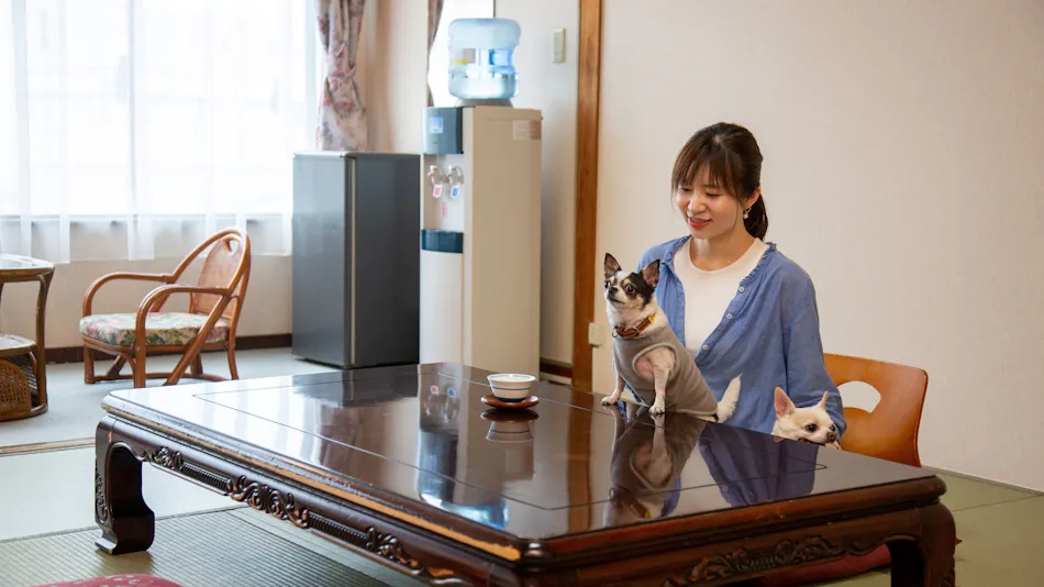 Dog-Friendly Onsen Inn Kaike Onsen Shotoen