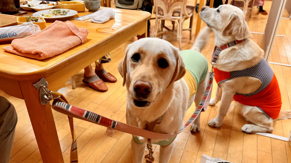 Dog-Friendly Onsen Inn Kaike Onsen Shotoen