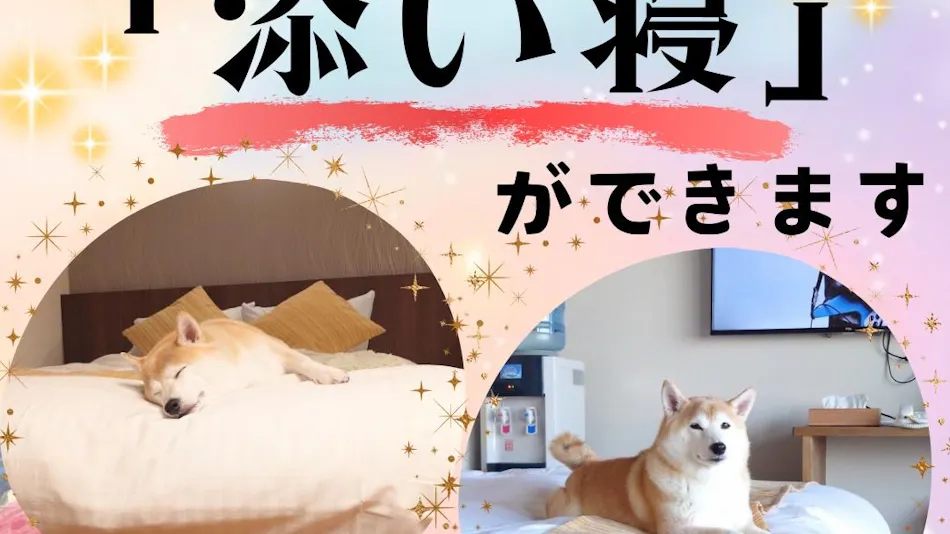 Dog-Friendly Onsen Inn Kaike Onsen Shotoen