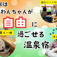 ที่พักน้ำพุร้อนที่น้องหมาสามารถใช้เวลาได้อย่างอิสระ