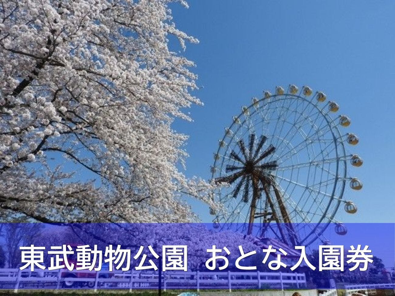 กรุณาเลือกตั๋วจากตัวเลือก