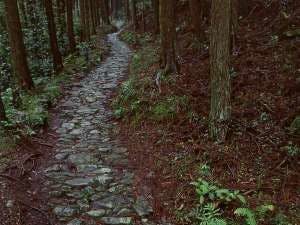 คุมาโนะโคะโด - ช่องเขาโทโอริ