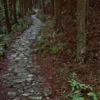 คุมาโนะโคะโด - ช่องเขาโทโอริ