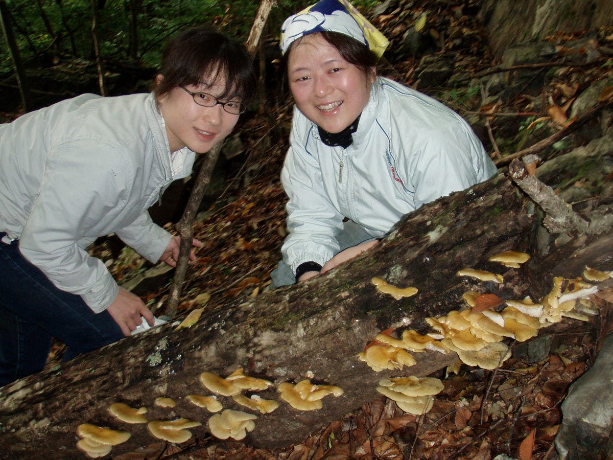 *ประสบการณ์เก็บเห็ดธรรมชาติ!