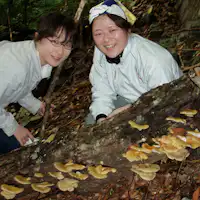 *ประสบการณ์เก็บเห็ดธรรมชาติ!