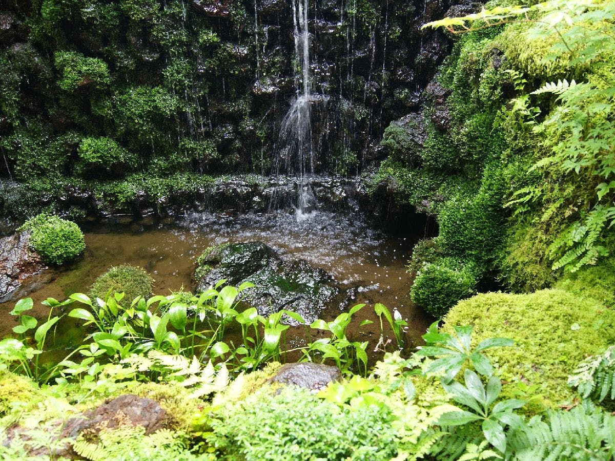 山中湖ペンションブルーリボン の宿泊プラン 予約 Yahoo トラベル