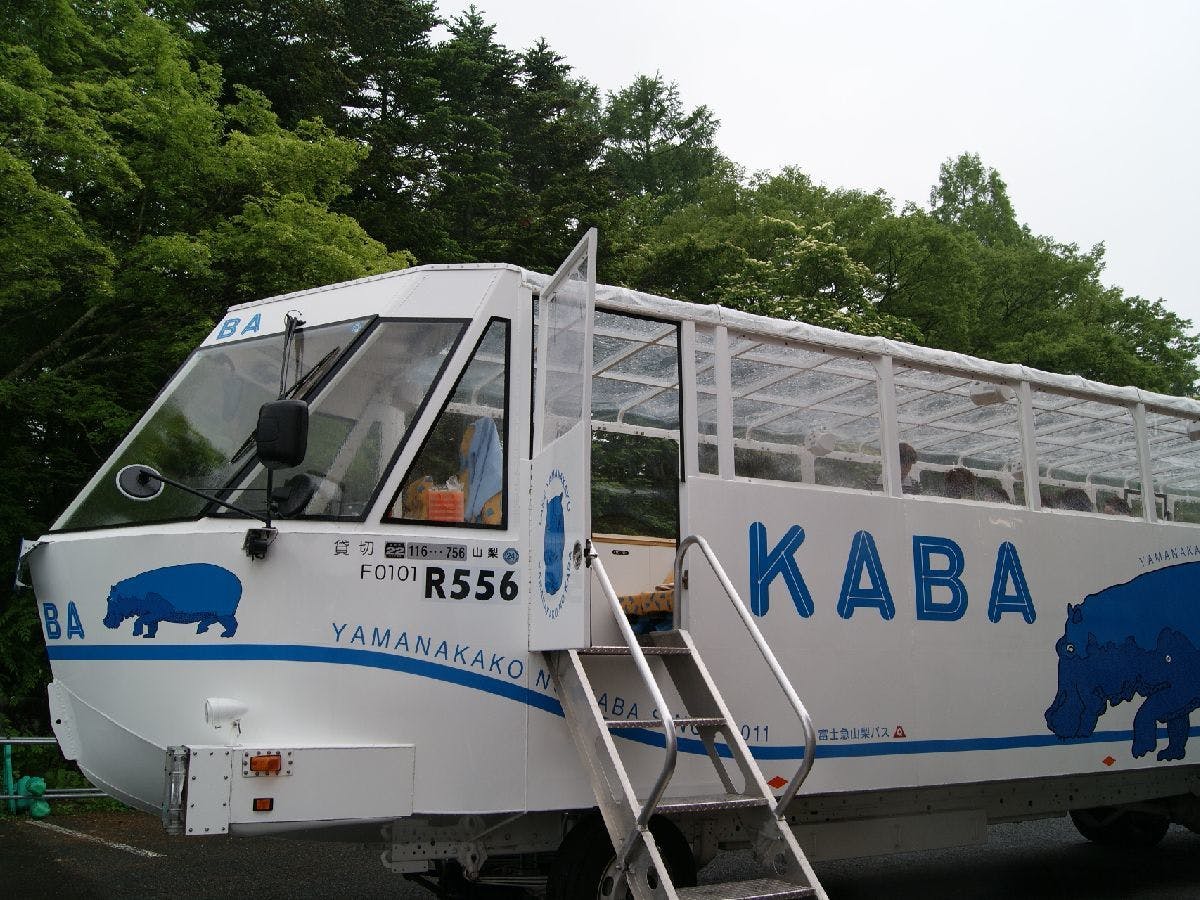 山中湖ペンションブルーリボン の宿泊プラン 予約 Yahoo トラベル