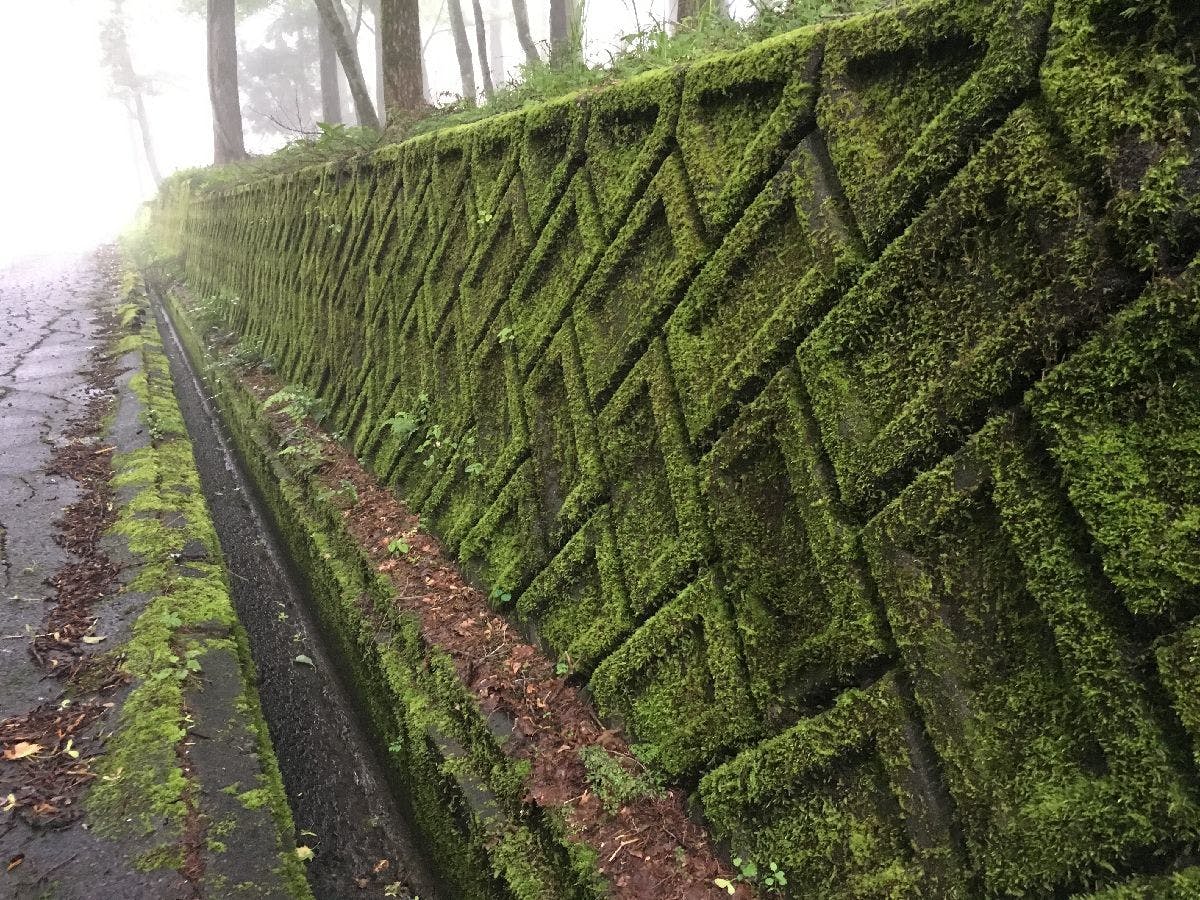 山中湖ペンションブルーリボン の宿泊プラン 予約 Yahoo トラベル