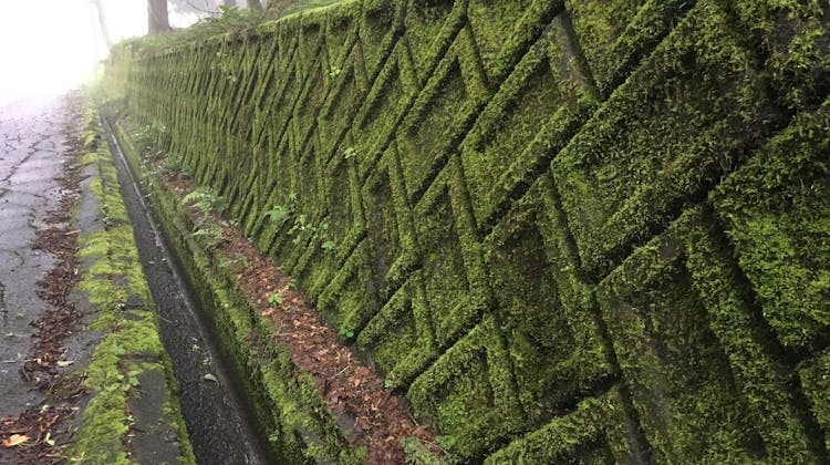 山中湖ペンションブルーリボン の宿泊プラン 予約 Yahoo トラベル 山中湖ペンションブルーリボン の宿泊プラン 予約 Yahoo トラベル