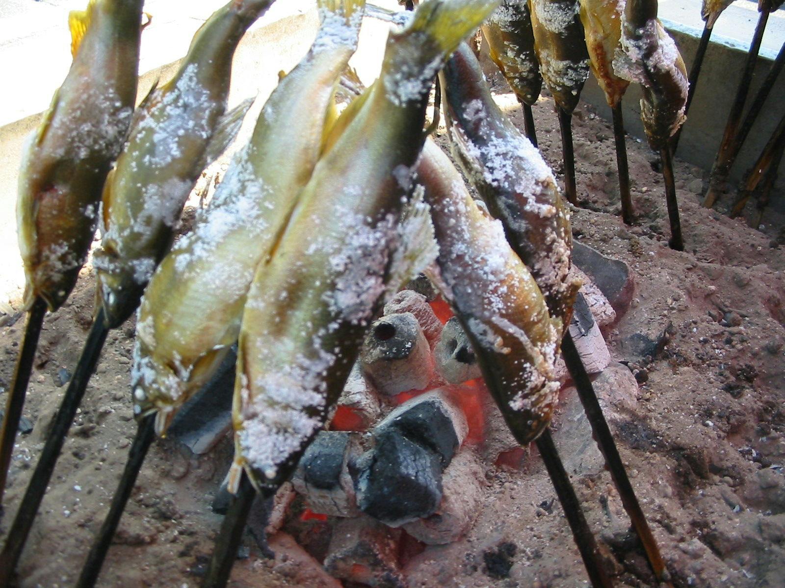 ปลาย่างเกลือ (ภาพ)