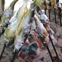 ปลาย่างเกลือ (ภาพ)