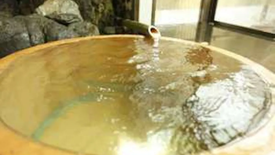 Umegashima Onsen Hotel Baikunro