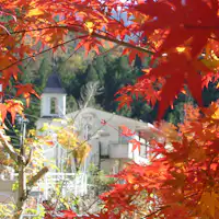 ภาพพาโนรามา (ฤดูใบไม้ร่วง)