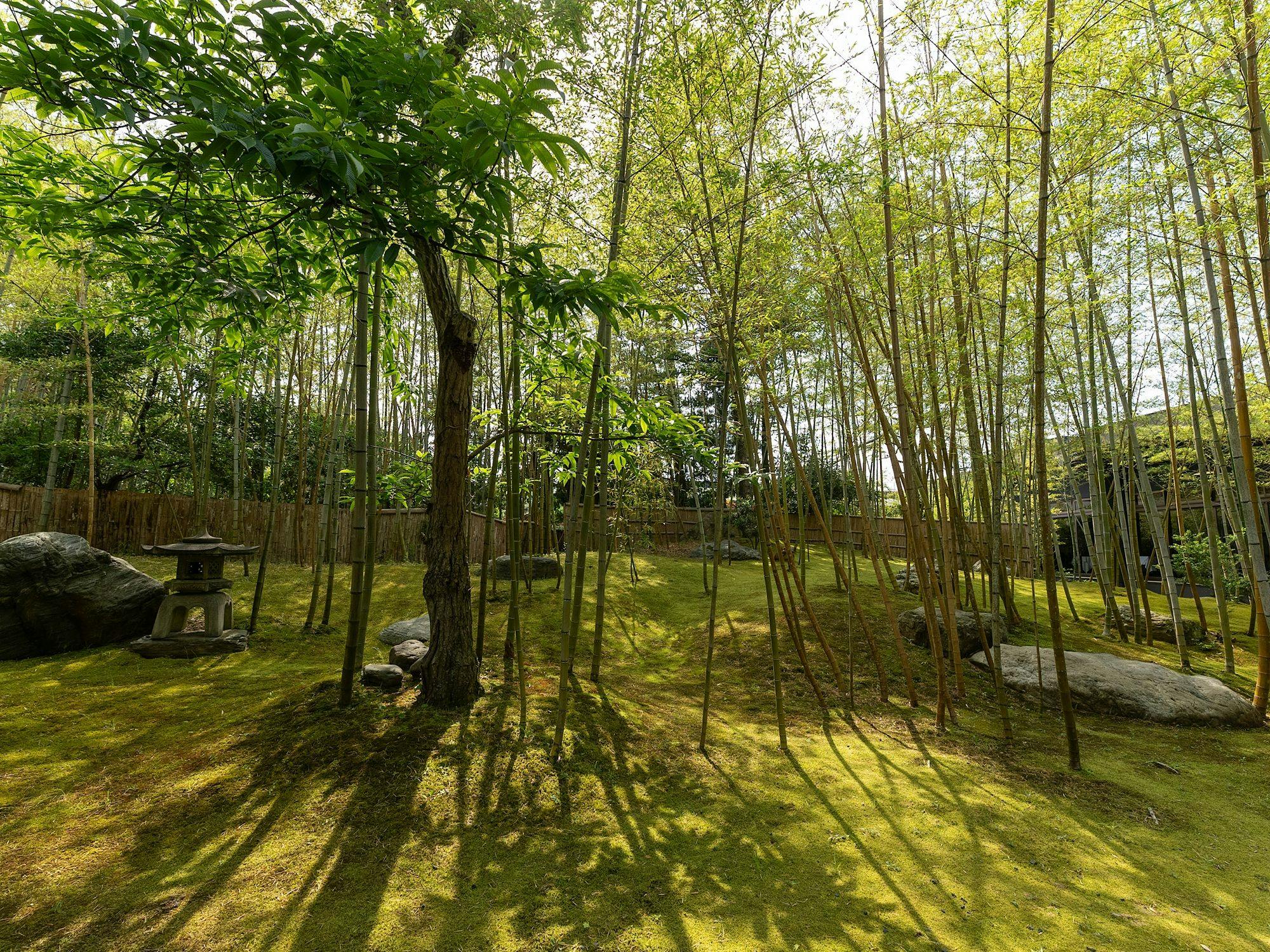 Livemax Resort Yuhigaurakituonsen