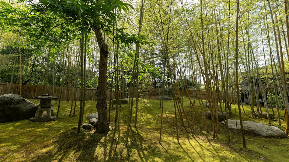 Livemax Resort Yuhigaurakituonsen