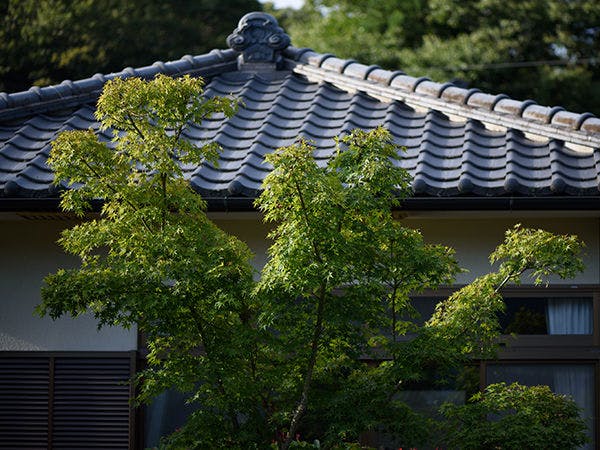 Minshuku Tsutaya