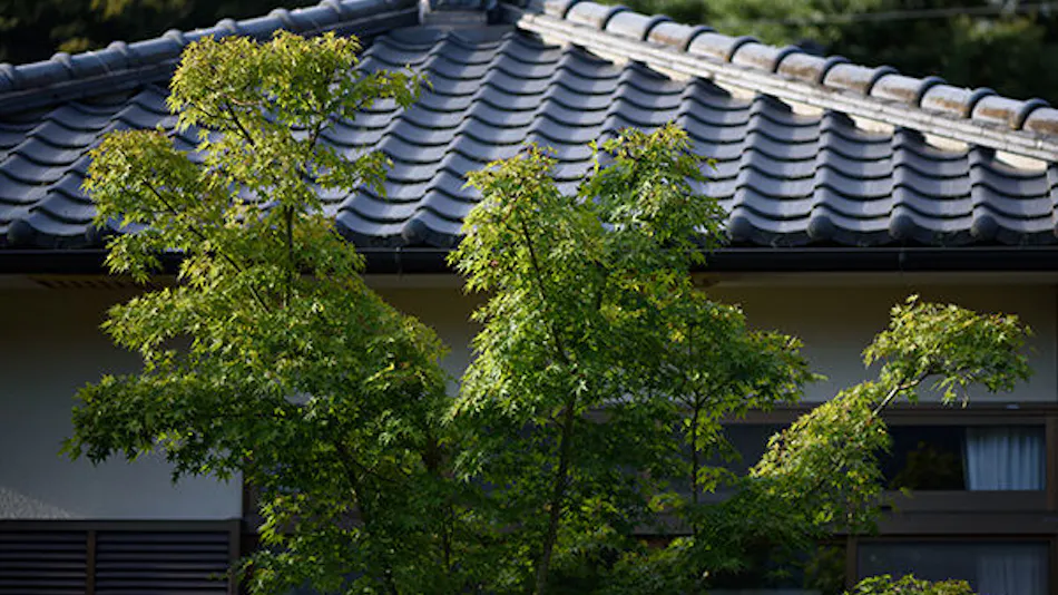 Minshuku Tsutaya