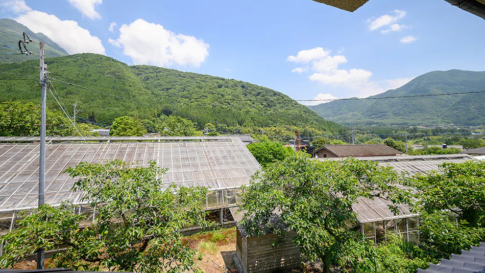 蔦屋民宿