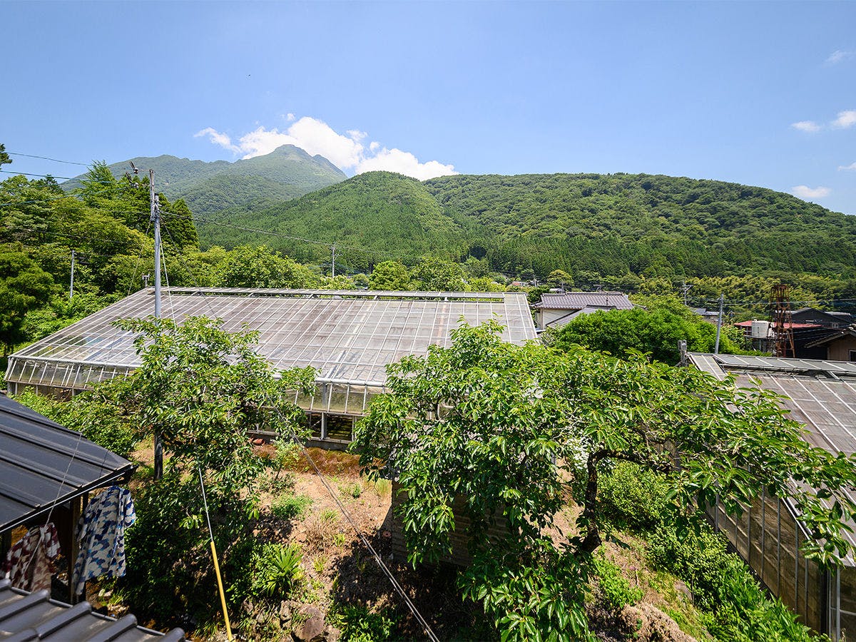 Minshuku Tsutaya