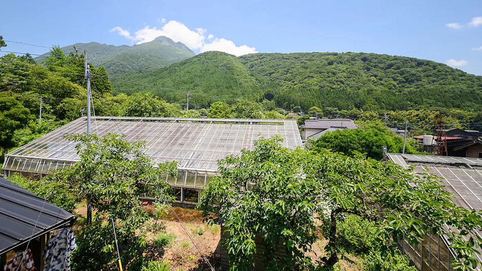 Minshuku Tsutaya
