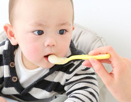 ベビーフード※イメージ