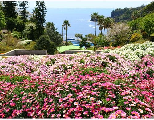 アカオハーブ&ローズガーデン