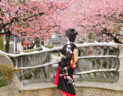 早咲きの梅&早咲きの桜！