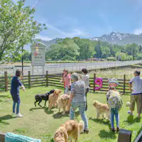 대형과 소형 두 개의 도그런 완비.