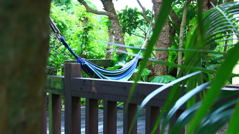 Summer Solstice Southern Breeze