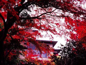 箱根強羅温泉　コージーイン 箱根の山