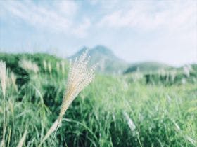 旅館　光の家
