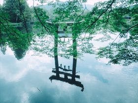 旅館　光の家