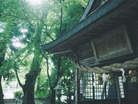 旅館　光の家