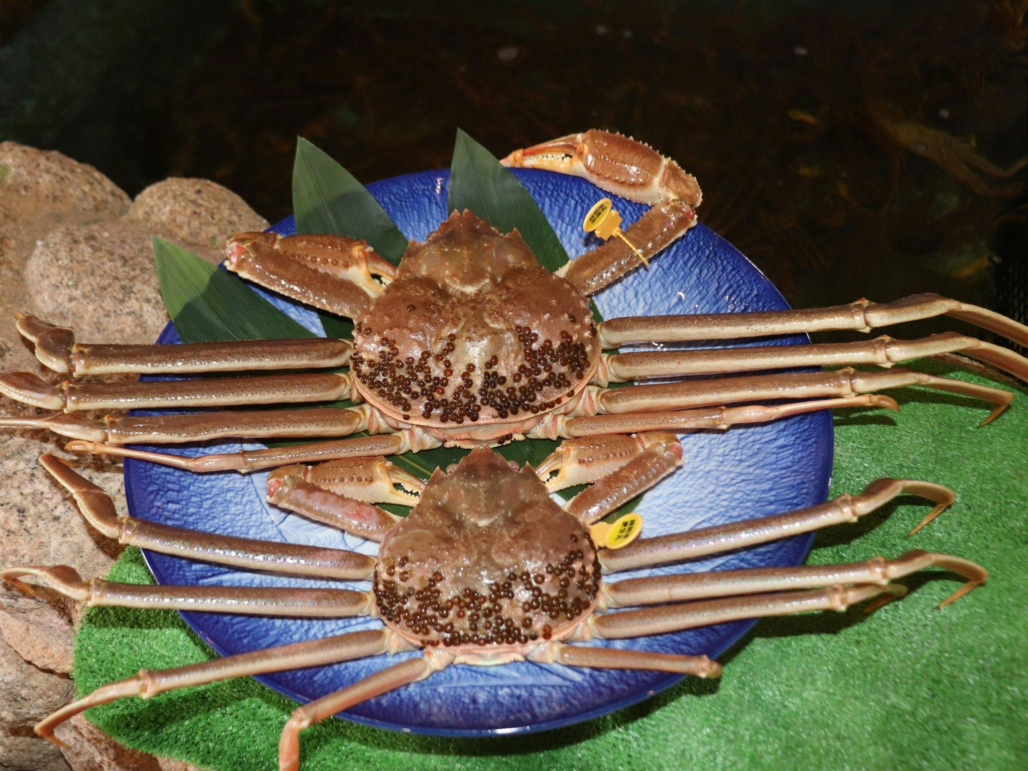 Hotel Kappo Ishimaru: The Inn of Echizen Crab and Natural Abalone