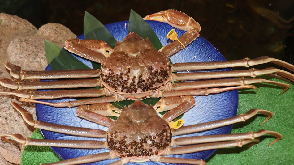 Hotel Kappo Ishimaru: The Inn of Echizen Crab and Natural Abalone