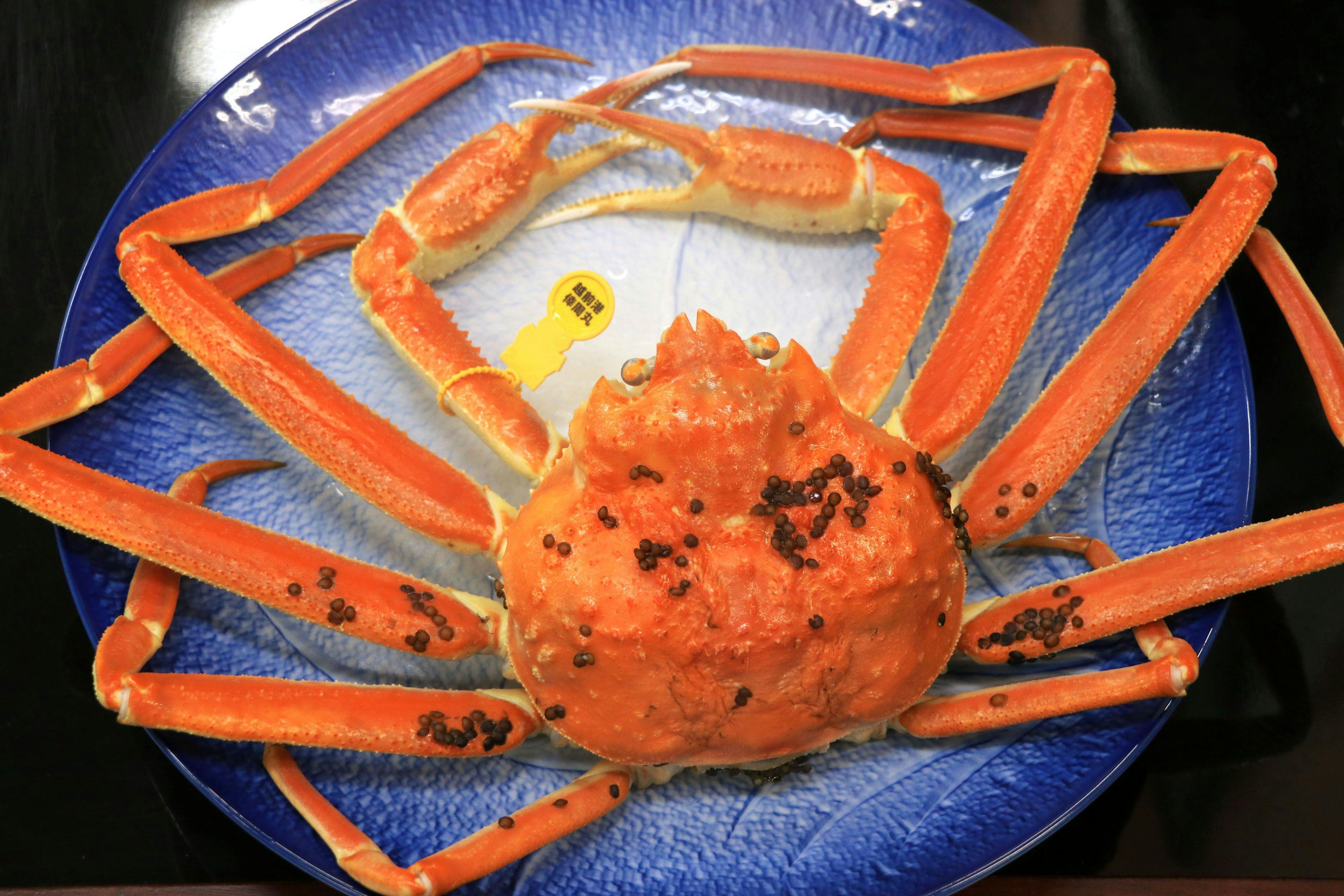 Hotel Kappo Ishimaru: The Inn of Echizen Crab and Natural Abalone