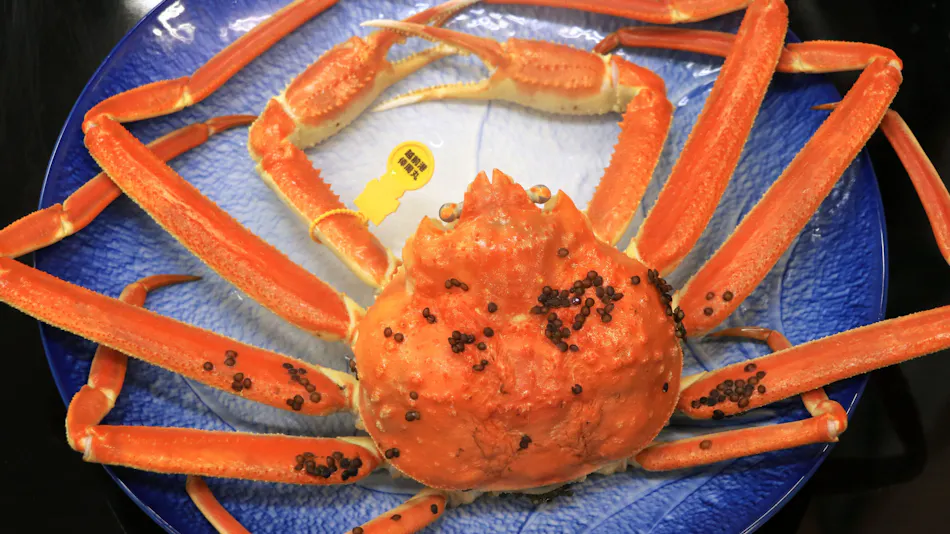 Hotel Kappo Ishimaru: The Inn of Echizen Crab and Natural Abalone