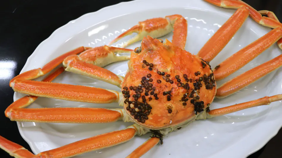 Hotel Kappo Ishimaru: The Inn of Echizen Crab and Natural Abalone