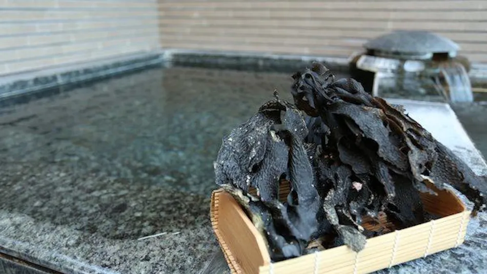 Hotel Kappo Ishimaru: The Inn of Echizen Crab and Natural Abalone