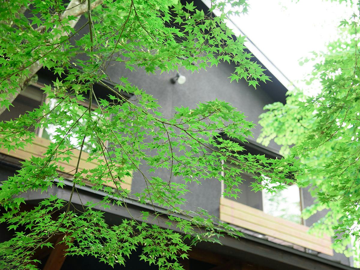 Yufuin Iyotomi