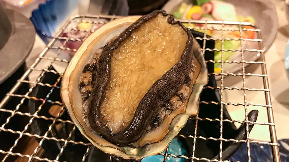 Ryokan Kaikokan