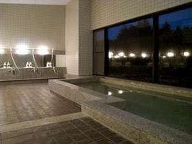 宇都宮インターリゾートホテル （【旧店名】ホテル鶴）