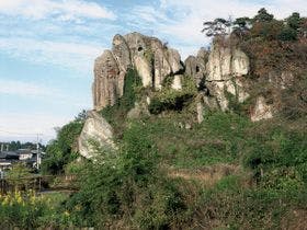 宇都宮インターリゾートホテル （【旧店名】ホテル鶴）