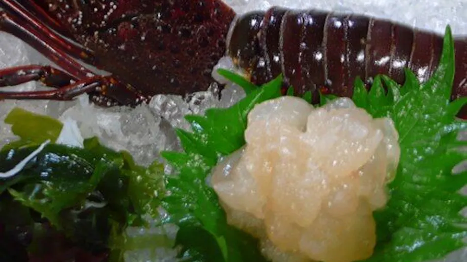 Nissho-kan: Inn with Live Ise Lobster Cuisine