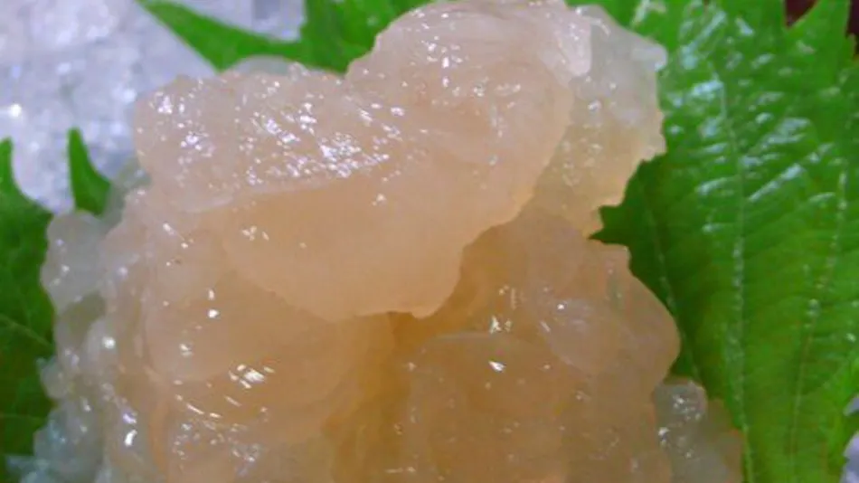 Nissho-kan: Inn with Live Ise Lobster Cuisine