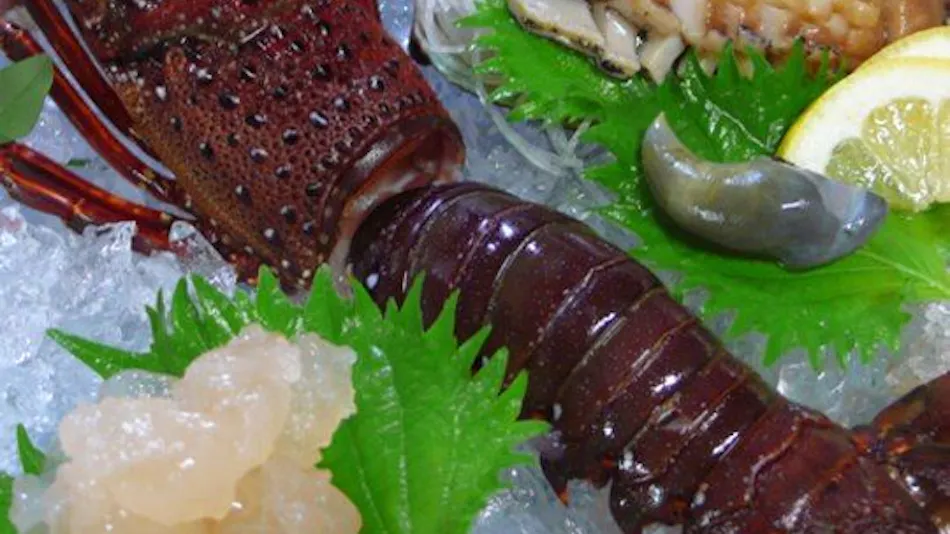 Nissho-kan: Inn with Live Ise Lobster Cuisine